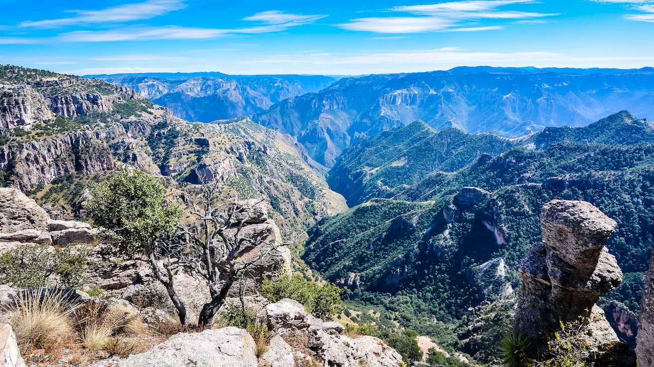 Sierra madre de los tarahumaras
