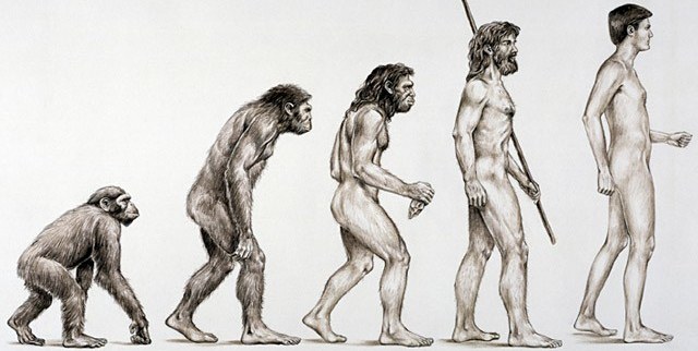 Evolución del hombre