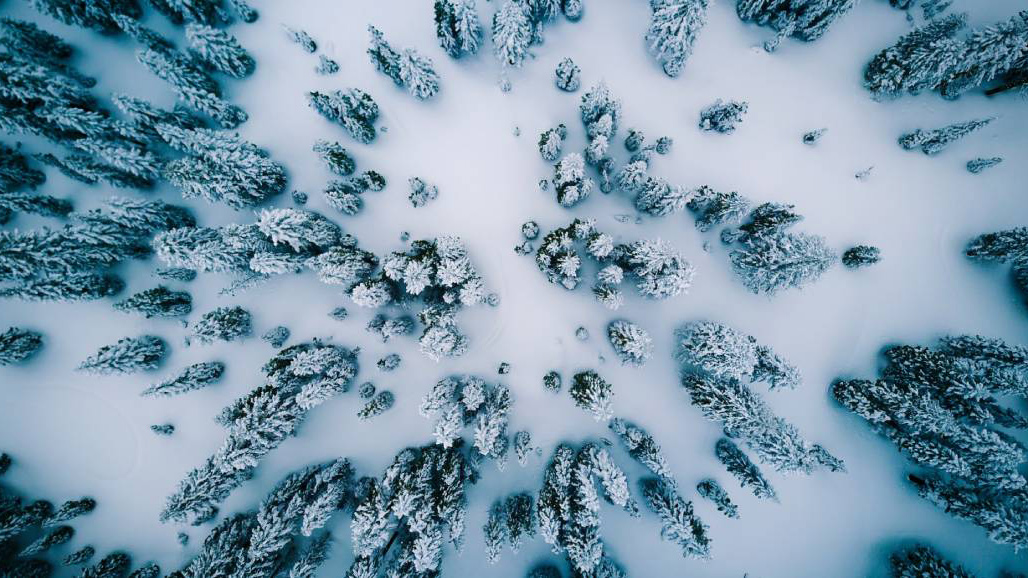 Paisaje nevado invierno